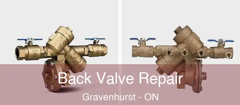  Back Valve Repair Gravenhurst - ON