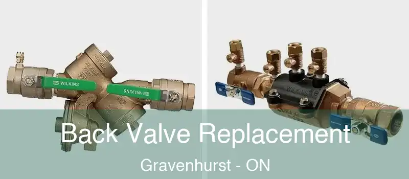  Back Valve Replacement Gravenhurst - ON