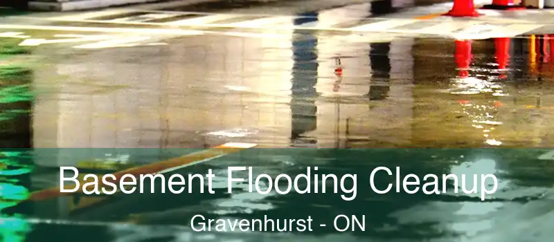  Basement Flooding Cleanup Gravenhurst - ON