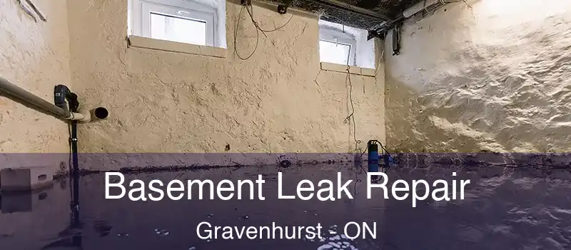  Basement Leak Repair Gravenhurst - ON