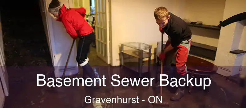  Basement Sewer Backup Gravenhurst - ON