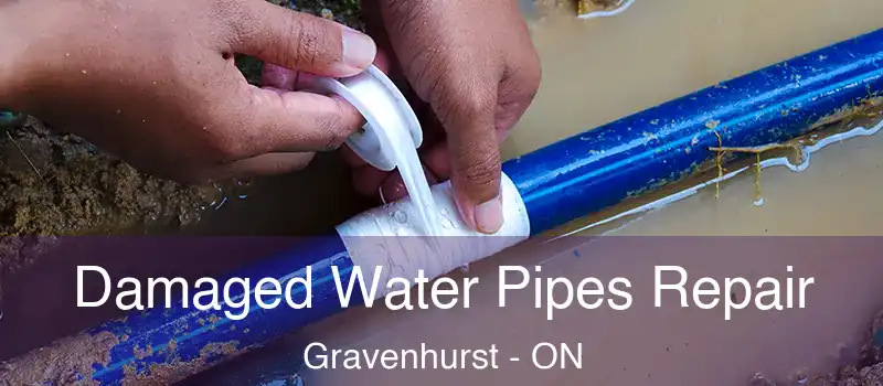  Damaged Water Pipes Repair Gravenhurst - ON