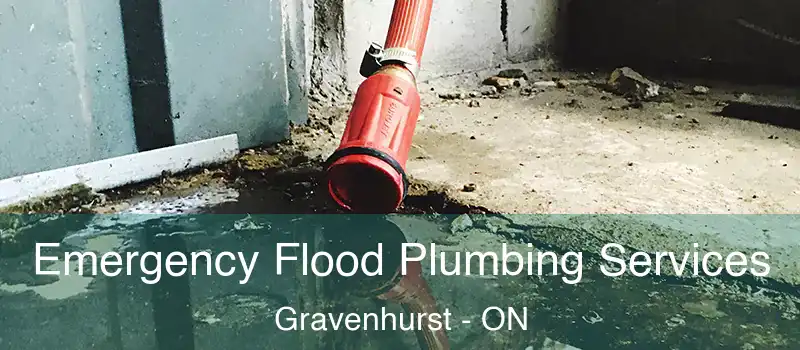  Emergency Flood Plumbing Services Gravenhurst - ON