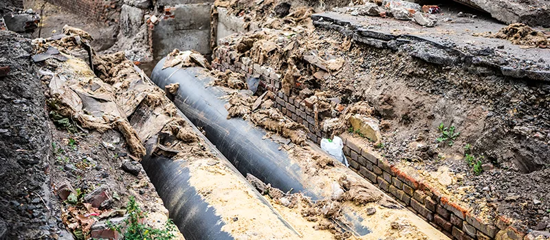 Commercial Sewer Tree Roots Damage Solutions in Gravenhurst, ON