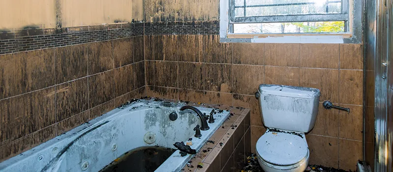 Residential Water Damage Restoration in Gravenhurst, ON