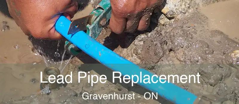  Lead Pipe Replacement Gravenhurst - ON
