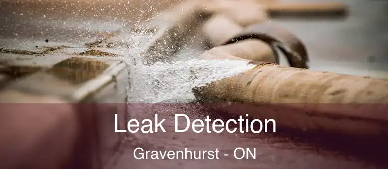  Leak Detection Gravenhurst - ON