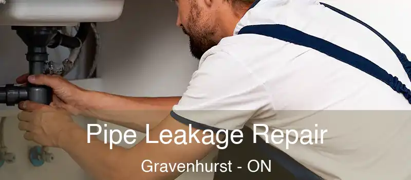  Pipe Leakage Repair Gravenhurst - ON