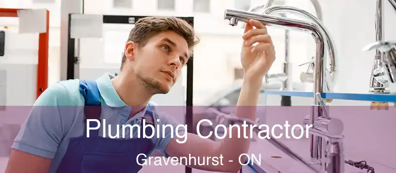  Plumbing Contractor Gravenhurst - ON