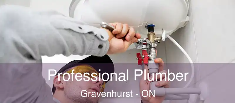  Professional Plumber Gravenhurst - ON