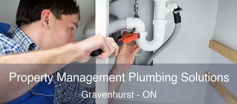  Property Management Plumbing Solutions Gravenhurst - ON