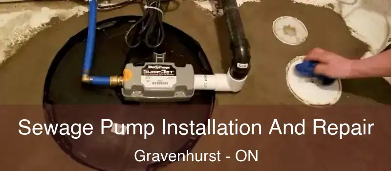  Sewage Pump Installation And Repair Gravenhurst - ON