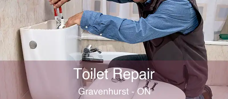  Toilet Repair Gravenhurst - ON
