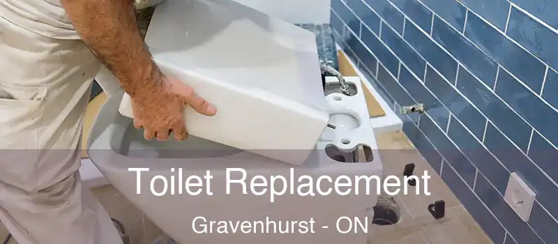  Toilet Replacement Gravenhurst - ON