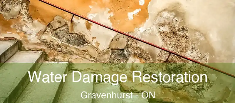  Water Damage Restoration Gravenhurst - ON