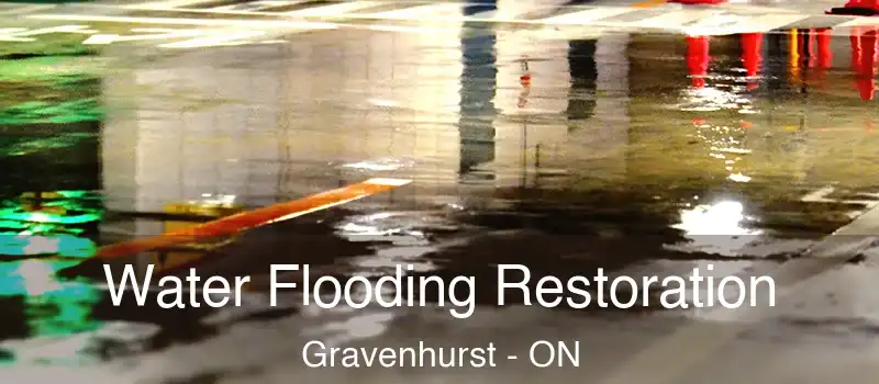  Water Flooding Restoration Gravenhurst - ON