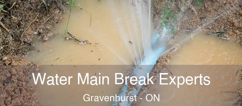  Water Main Break Experts Gravenhurst - ON