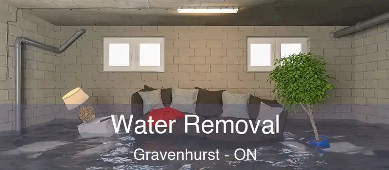  Water Removal Gravenhurst - ON